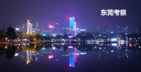 东莞楼市，疯狂远超你想象