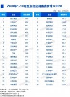 2020年1-10月湖南房地产企业拿地排行榜