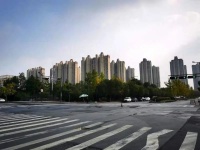 蚂蚁集团的一块“荒地”,引爆了杭州这个区域的房价