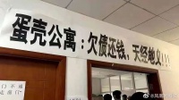 蛋壳微众暴露的问题，要靠创业新生态解决