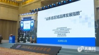 “山东省区域品牌发展指数”发布,威海连续两年超平均值