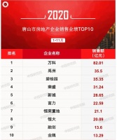2020年1-11月唐山房地产企业销售业绩排行榜