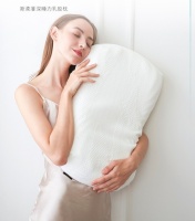 乳胶枕哪个牌子好？看了这篇你就不用愁