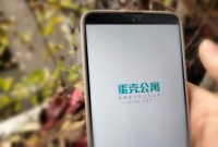 对标蛋壳受害者：应届毕业生的漫漫维权路