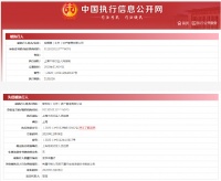 蛋壳公寓CEO高靖被限制高消费，所属公司成老赖！