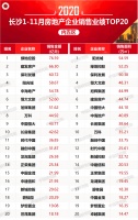 2020年1-11月长沙房地产企业销售业绩排行榜