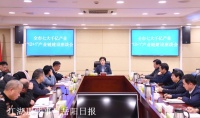 产业链现代化,岳阳要打攻坚战!