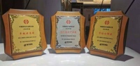 中国家电行业“磐石奖”王者三冠 东芝冰箱成就高端市场“芝味”新潮流