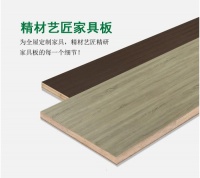 中国板材十大品牌精材艺匠家具板,家装定制好选择!