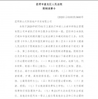 “老干妈”陶华碧之子持股的房地产开发公司被限制高消费