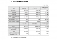 顶固集创:2020年度净利降68.83%至2427.95万元