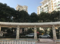 新政后上海楼市现“奇葩业主”：建群广拉中介“传销式”寻找接盘侠