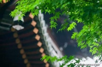湖州安吉土拍价上涨:绿城桃花源城东红盘 稀缺中式小户型合院