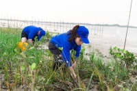 贝壳“蓝海行动”开展植树节活动 首期种植32000棵红树苗