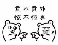 大同街头巨兽为何大打出手,全城速来围观!