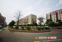 好期待!这段排渠要变身“缤纷绿道”啦!离你家远吗?