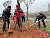 植树添新绿:衡阳市城管局组织开展义务植树、花卉栽培活动