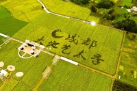 为期2个月!成都第二届天府大地艺术季落地郫都区