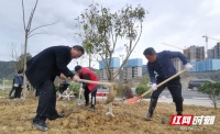 张家界市住建局:共建绿色家园 我们在行动