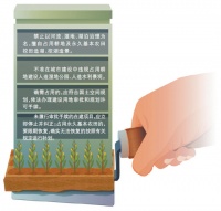 遏制挖湖造景 严守耕地红线（来信调查）