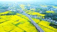 成都创新生态价值转化的多元路径