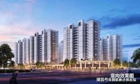 桐乡碧桂园繁华里降价甩卖“任人宰割”!最新价格!