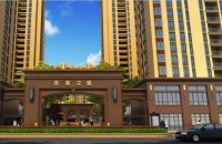 平湖滨海之星强势来袭 图文解析!图文解析!