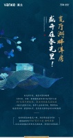 宽厅湖畔洋房,盛开在春光里!