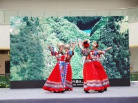 彭水消费帮扶周 助推当地重点文旅项目发展