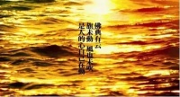长沙楼市，一醉解千愁