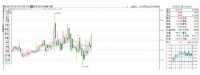 金辉变“绿”，林定强临门一脚进千亿