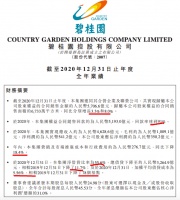 碧桂园2020年营收4628.6亿元 权益合同销售回款5193亿元