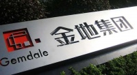 急功近利，快速扩张：金地集团2021年的价格优势或是价值陷进？