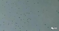 高温之下，这样的防水问题频发生！