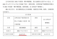 光明地产债务筹资：票面利率4.55%成功发行6.5亿元中期票据