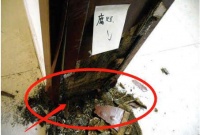 首次装修被自己蠢哭！一连装了10个错误，尽是为生活添堵，毁房