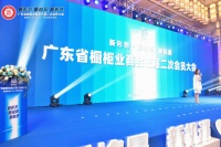 副会长甘森强:专注台面石,做好家居行业的面子工程