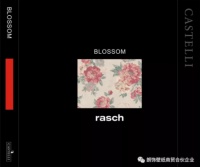朗饰春季壁布上新｜繁花似锦 Blossom