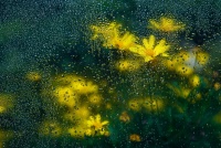 谷雨节气降雨多，如何赶跑湿气，让人更精神