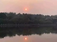 污染严重房价腰斩，西双何时再版纳？
