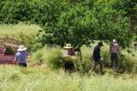 女业主晒出一幕,网友看完羡慕哭:这是什么神仙小区