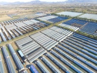 北京出台25项措施,建立健全城乡融合发展体制机制和政策体系