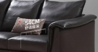 风格简约，造型前卫，爱依瑞斯—年轻人的选择
