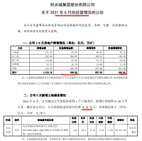 阳光城前6月销售额同比增长12.6%完成年目标不足五成 行业排名降4位