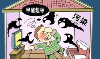 超实用的新房除甲醛攻略 有新房的赶快收藏备用吧！