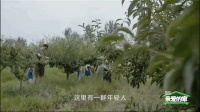 成都版「向往的生活」，一处院子，聚集一群天南海北的“家”人