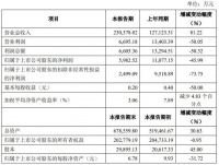 亚士创能半年度业绩快报：营收大增81%至23亿元，原料涨价致利润下滑