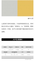 【爱漫时】PANTONG丨AMSI 2021，走向“灰黄”