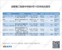 成都二次集中土拍：单日出让19宗地 总成交价约207亿元