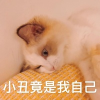正在征求意见!11月1日起,北京顺义部分区域拟实施外地车限行措施!